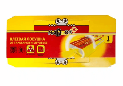 Снимок - 2025-03-12T110050.704